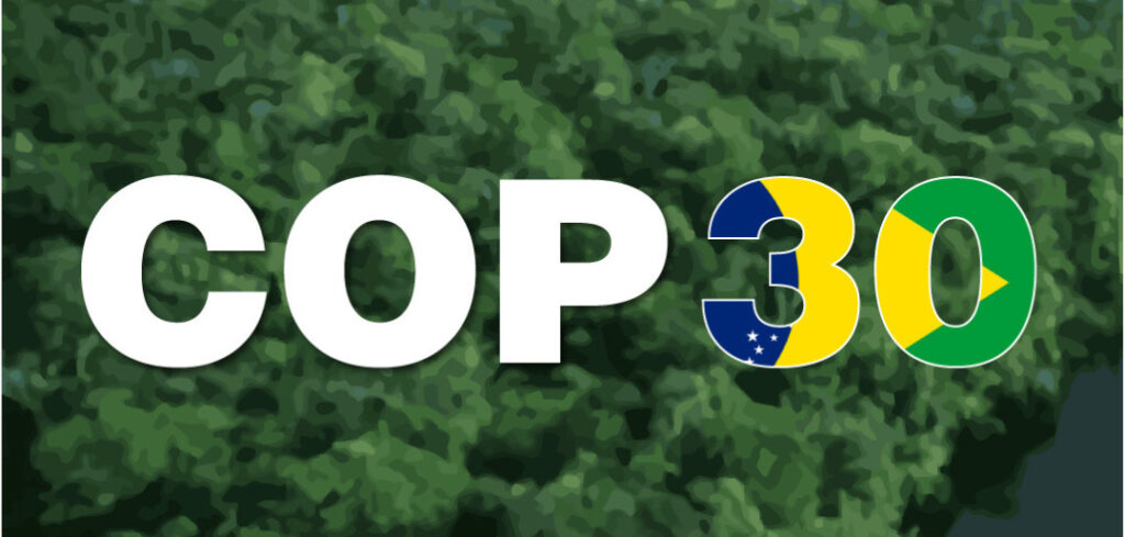 COP 30