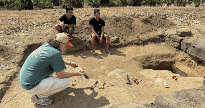 Wallacean hominids